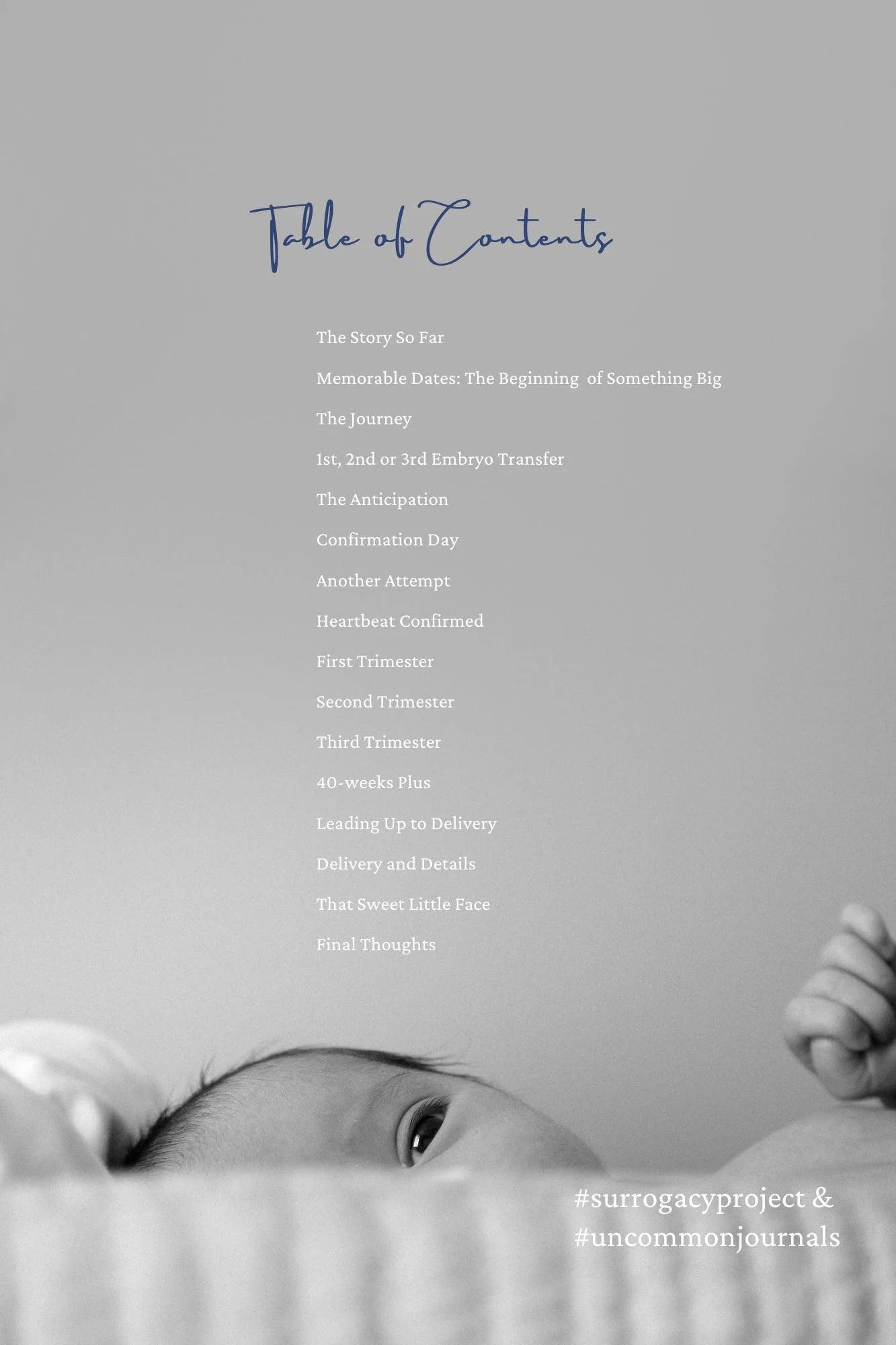 Table of contents for a book or journal about surrogacy, with a gray background and text.