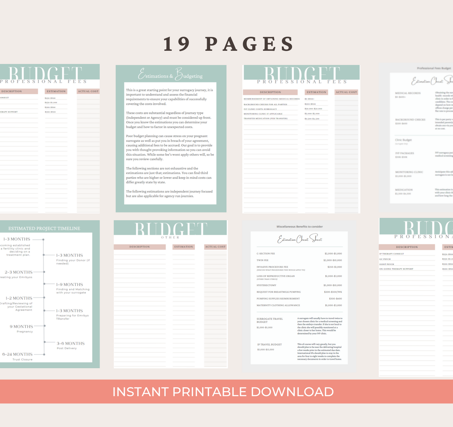 sample page of The Ultimate Surrogacy Budget Guide
