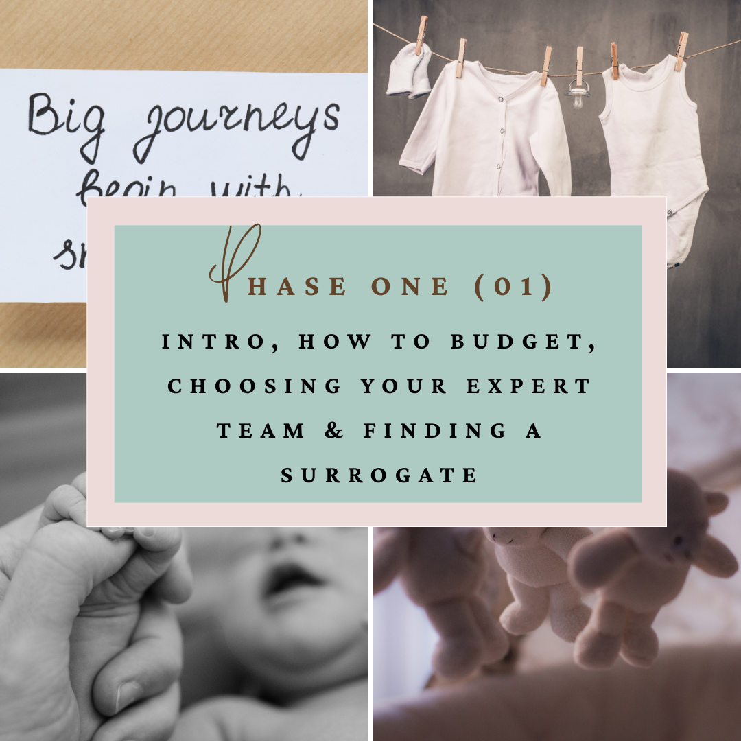 Phase one of The Ultimate Course The Only Surrogacy Journey APP out There!