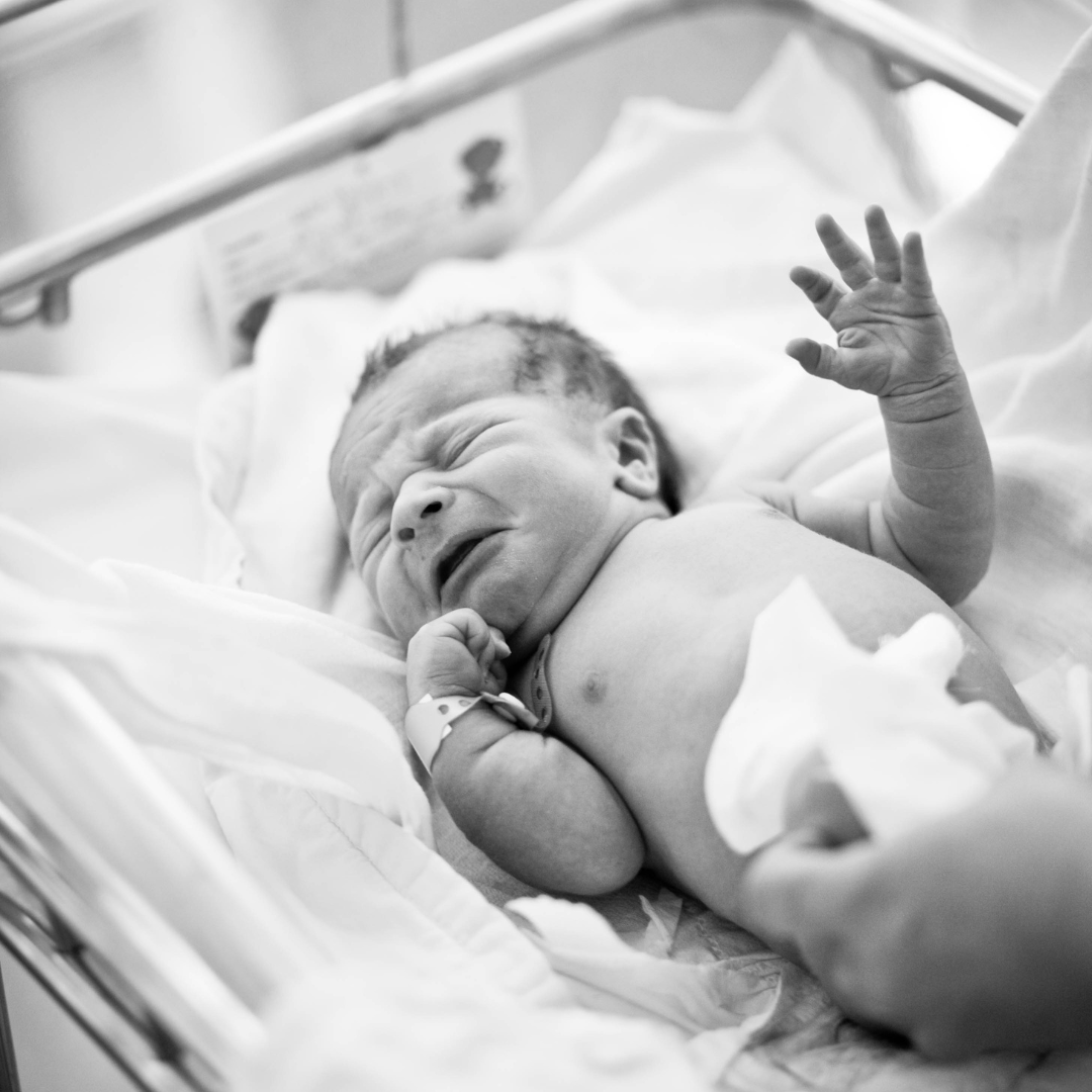 Independent surrogacy Consultation with Wilson Fertility; consulting and surrogacy support resources
