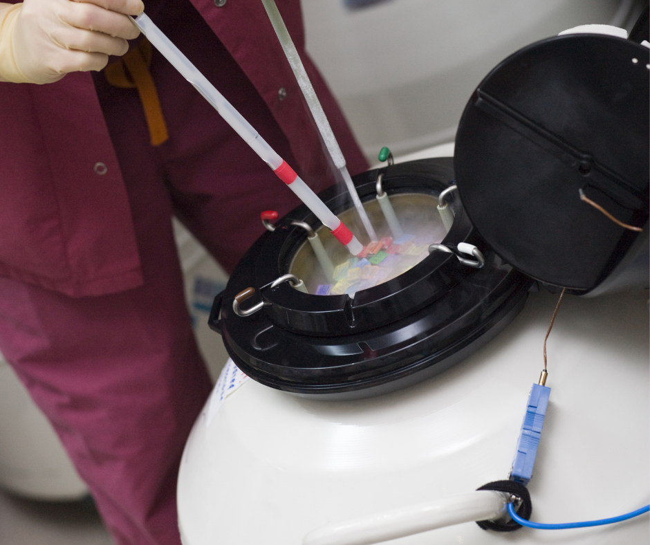 Egg Freezing Consultation with Wilson Fertility; consulting and surrogacy support resources