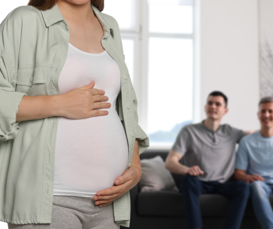 Agency Matching Consultation with Wilson Fertility; consulting and surrogacy support resources