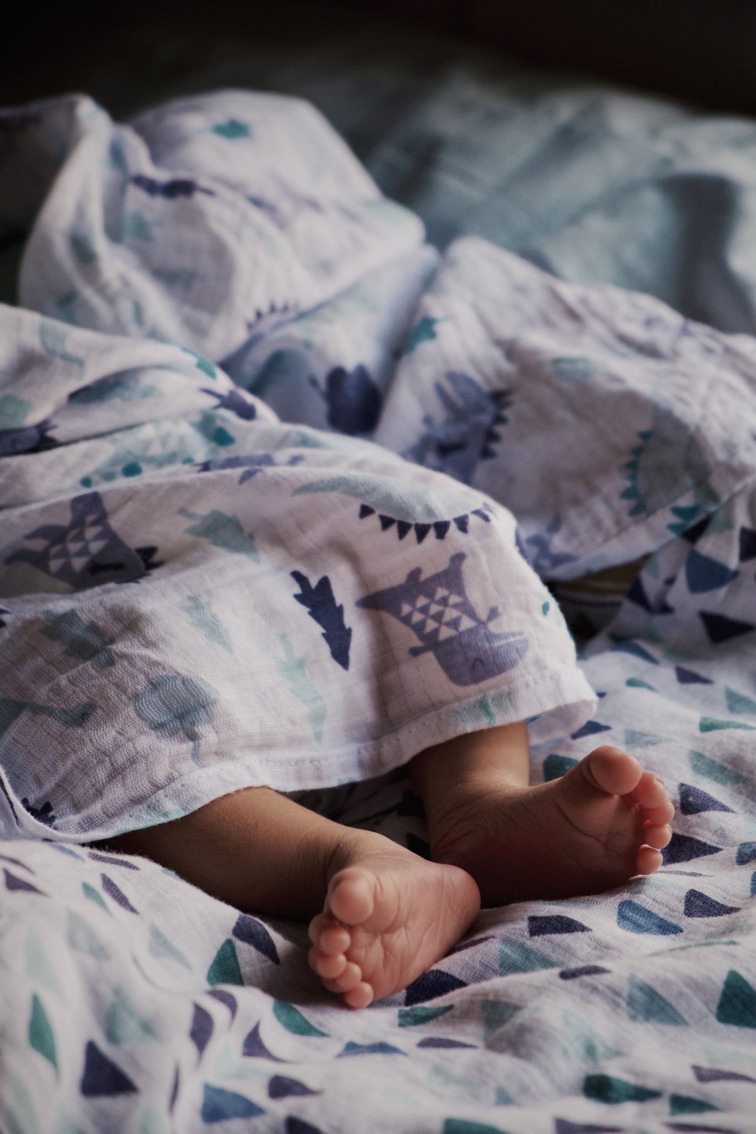 Fertility consulting and surrogacy support resources