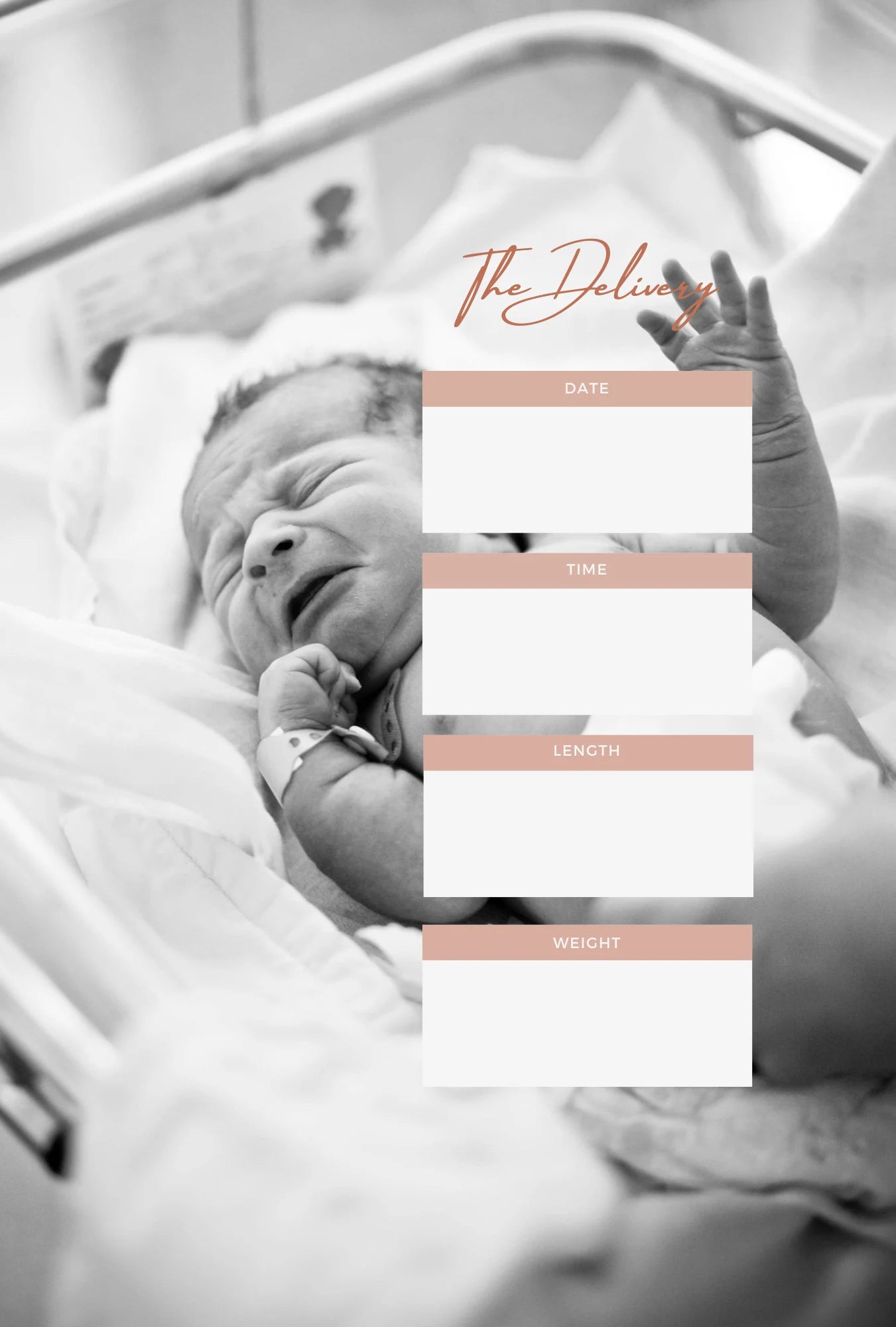 Sample page of what's inside Surrogates Story journal keepsake