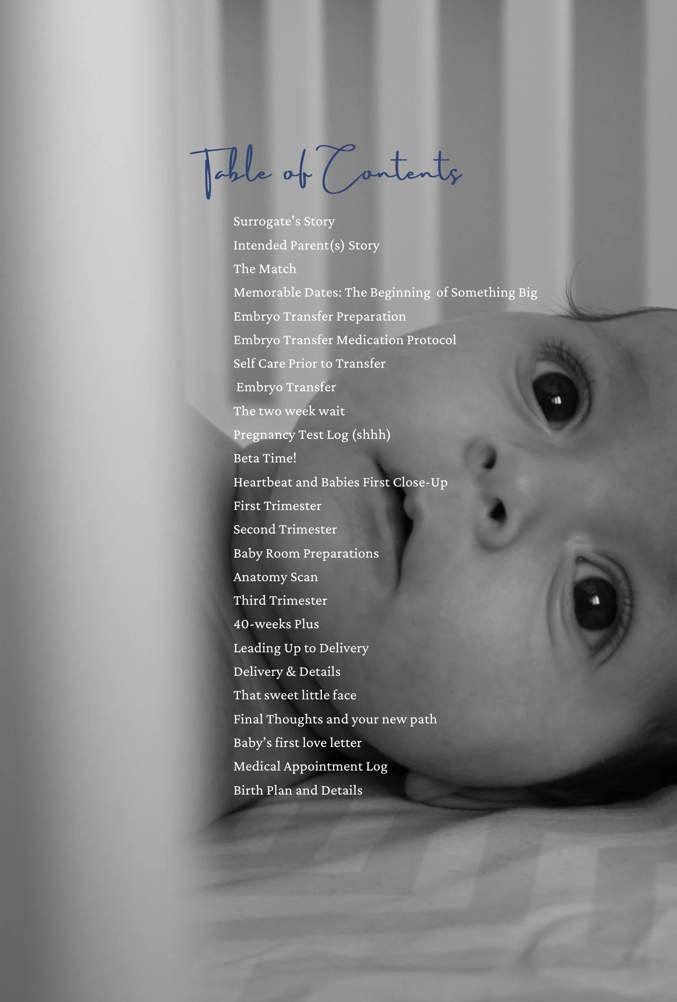 Table of contents for intended Parent journal personal keepsake