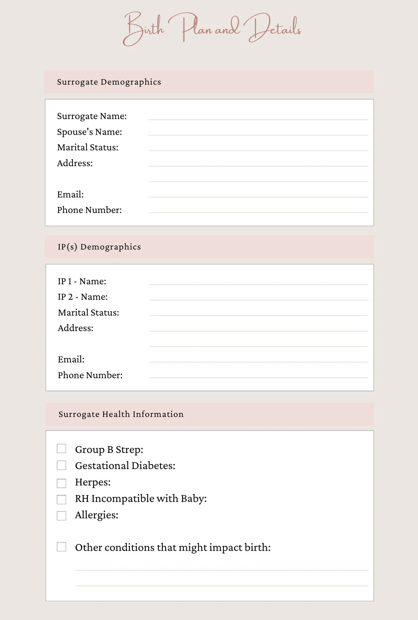 Sample page ofthe birth plan and details log inside Surrogates Story Journal